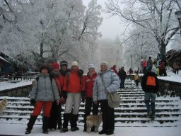 silvestr 2010